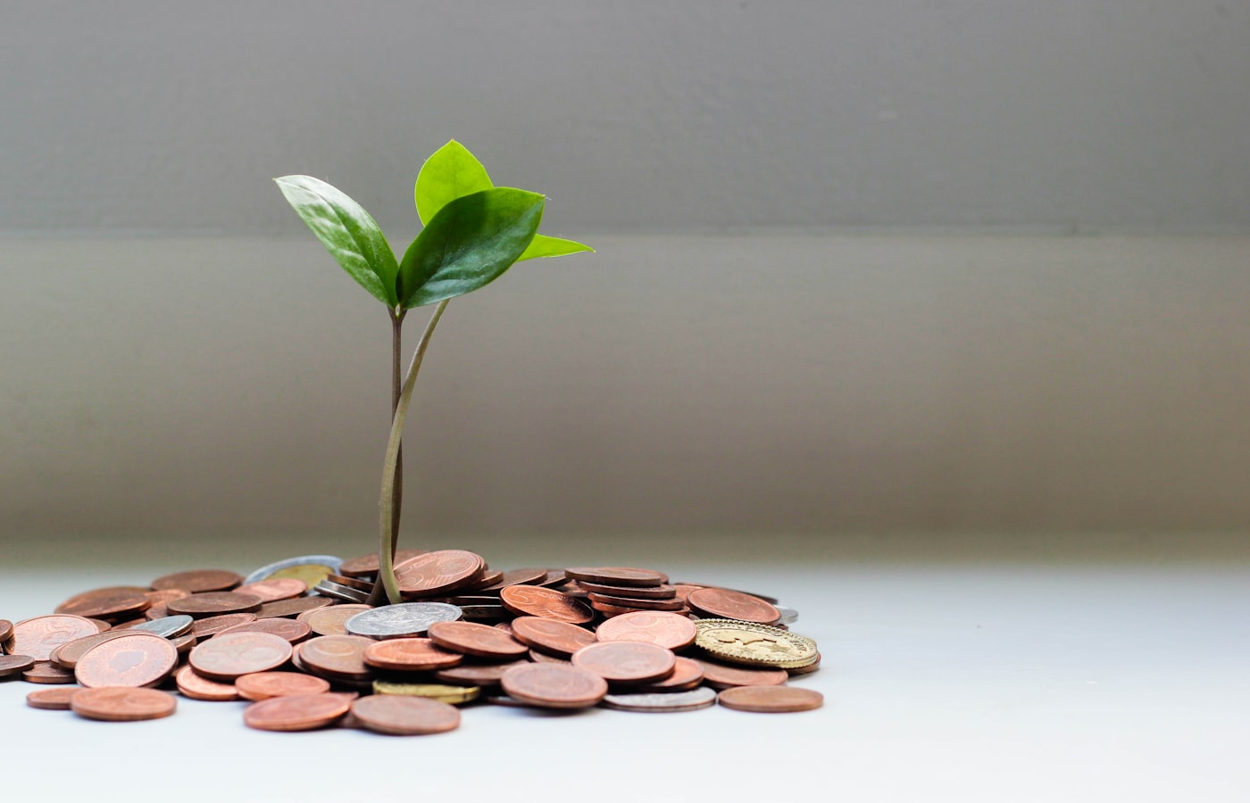How to Open a Dollar Account in Ghana